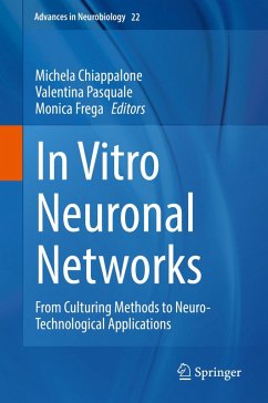 In Vitro Neuronal Networks (eBook, PDF)