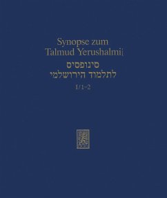 Cover Synopse zum Talmud Yerushalmi (eBook, PDF)