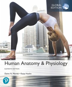 Human Anatomy & Physiology, Global Edition (eBook, PDF) - Marieb, Elaine N.; Hoehn, Katja