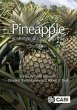 Pineapple, The (eBook, ePUB) - Bild 1