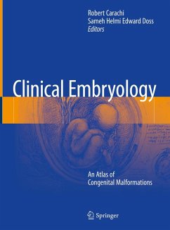 Cover Clinical Embryology (eBook, PDF)
