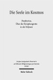 Die Seele im Kosmos (eBook, PDF)