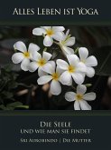 Die Seele und wie man sie findet (eBook, ePUB)