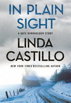 In Plain Sight (eBook, ePUB) - Castillo, Linda
