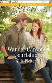 Wander Canyon Courtship (Mills & Boon Love Inspired) (Matrimony Valley, Book 3) (eBook, ePUB)