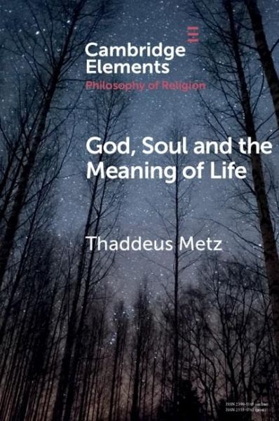 God, Soul and the Meaning of Life (eBook, PDF)