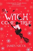 Witch Come True (eBook, ePUB)