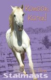 Stalmaats 6 (eBook, ePUB)