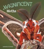 Magnificent Moths (eBook, PDF) Magnificent Moths (eBook, PDF)