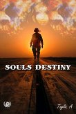 Souls Destiny (eBook, ePUB)