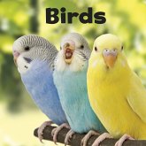 Birds (eBook, PDF)
