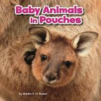 Baby Animals in Pouches (eBook, PDF)