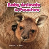 Baby Animals in Pouches (eBook, PDF) Baby Animals in Pouches (eBook, PDF)
