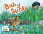 Baby Ducks (eBook, PDF)