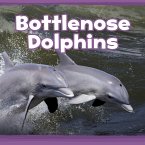 Bottlenose Dolphins (eBook, PDF)