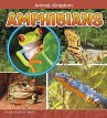Amphibians (eBook, PDF) - Bild 1