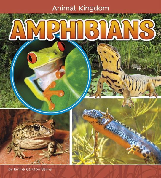 Amphibians (eBook, PDF)