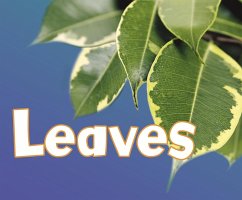 Cover Leaves (eBook, PDF)
