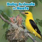 Baby Animals in Nests (eBook, PDF)