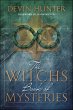 Witch's Book of Mysteries (eBook, ePUB) - Bild 1