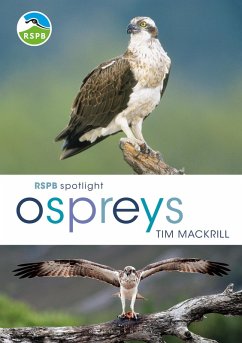 RSPB Spotlight Ospreys (eBook, ePUB) - Mackrill, Tim