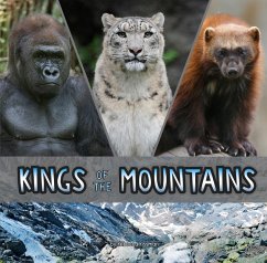 Cover Kings of the Mountains (eBook, PDF)