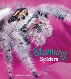 Stunning Spiders (eBook, PDF)