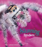 Stunning Spiders (eBook, PDF) Stunning Spiders (eBook, PDF)