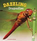 Dazzling Dragonflies (eBook, PDF)