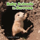 Baby Animals in Burrows (eBook, PDF) Baby Animals in Burrows (eBook, PDF)