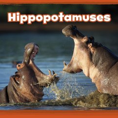 Hippopotamuses (eBook, PDF) - Clay, Kathryn