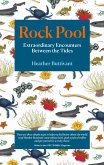 Rock Pool (eBook, ePUB)