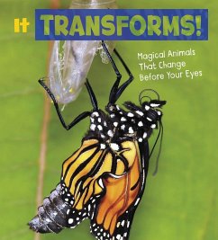 It Transforms! (eBook, PDF) - Potts, Nikki