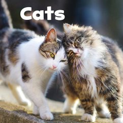 Cover Cats (eBook, PDF)
