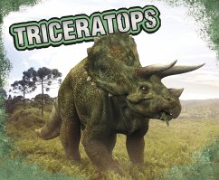 Cover Triceratops (eBook, PDF)