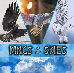 Kings of the Skies (eBook, PDF) - Rissman, Rebecca