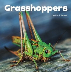 Cover Grasshoppers (eBook, PDF)