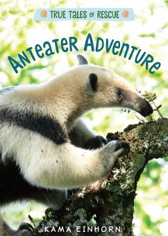 Anteater Adventure (eBook, ePUB) - Einhorn, Kama