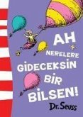 Ah Nerelere Gideceksin Bir Bilsen