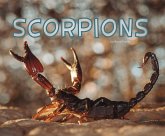 Scorpions (eBook, PDF)