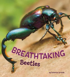 Cover Breathtaking Beetles (eBook, PDF)
