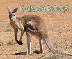 Cover Kangaroos (eBook, PDF)