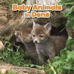 Baby Animals in Dens (eBook, PDF)