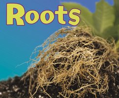 Cover Roots (eBook, PDF)
