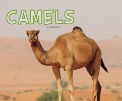 Cover Camels (eBook, PDF)