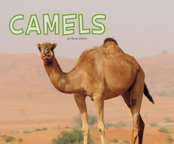 Camels (eBook, PDF)