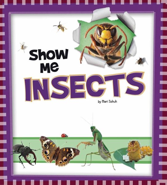 Show Me Insects (eBook, PDF) Show Me Insects (eBook, PDF)