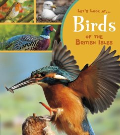 Birds of the British Isles (eBook, PDF) - Beevor, Lucy