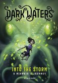 Into the Storm (eBook, PDF) Into the Storm (eBook, PDF)