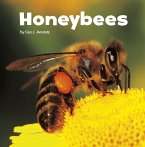 Honeybees (eBook, PDF) Honeybees (eBook, PDF)